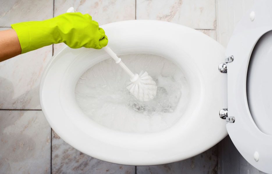 choosing the right toilet brush
